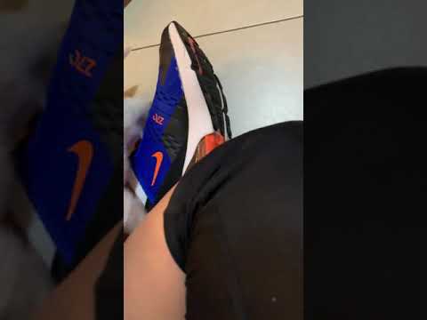 One month old westies - dogs fight