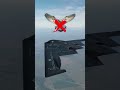 Ffear Of Enemies B 2 Stealth Bomber