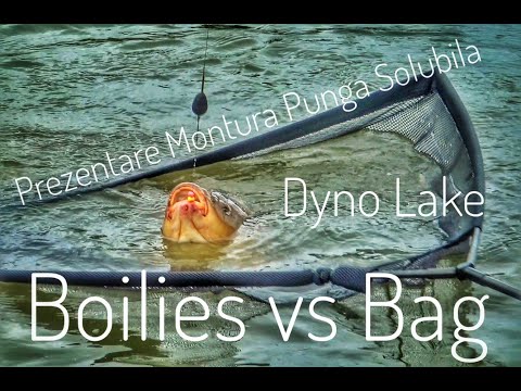 Boilies vs BAG - Prezentare Montura Punga Solubila
