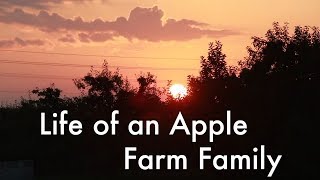apple orchard field trip