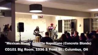 Johnette Napolitano performs 