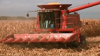 preview picture of video 'Johnson Family Farm - Case IH 2366 Combine on 10-28-2013'