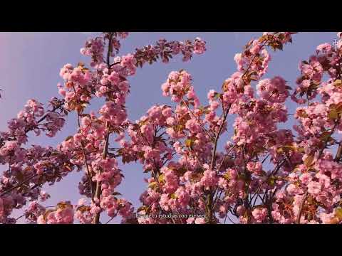 4. Lui5 - MANDARTE A LA M | G E O R G I A