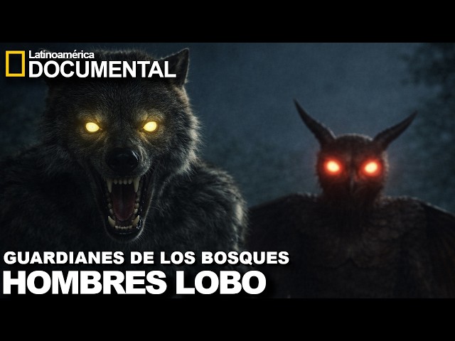 Vídeo relacionado con El guardián nocturno - Mothman Camiseta sin Mangas