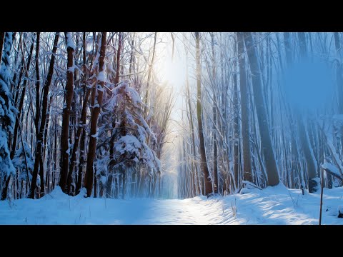 L'incanto della NEVE e la MUSICA più SOAVE per rilassarti.
