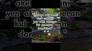 Download lagu KATA KATA BIJAK BAHASA JAWA #shorts mp3