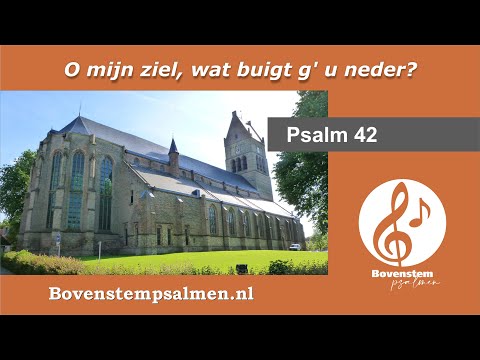 Psalm 42 vers 1, 3 en 5 (met bovenstem) | Orgel: Martin Mans | Panfluit: Noortje van Middelkoop