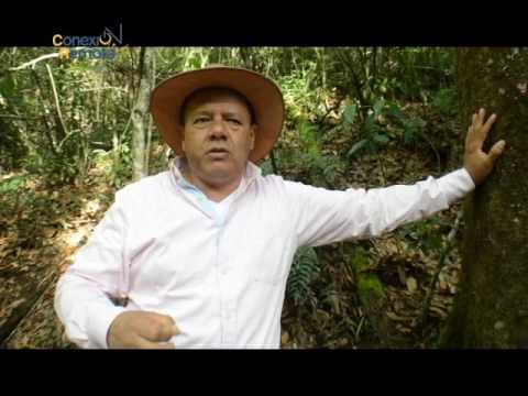 Conexión Remota especial desde Boyacá (Gachantivá) / capítulo 4 (Labor social)