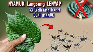 Download lagu MENGAPA NGGAK TAU DARI DULU !! PADAHAL INI SANGAT SANGAT DI BUTUHKAN BANYAK ORANG  mp3