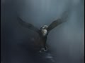Alzar el Vuelo