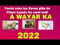 Yanda zaka koyi zanen gida (Draw) ka sami kudi a wayar ka 2022