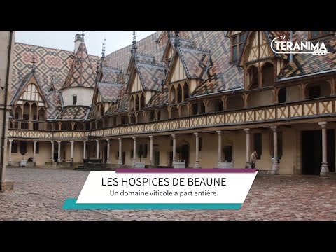 Hospices de Beaune : l'histoire d'un domaine unique - Teranima TV
