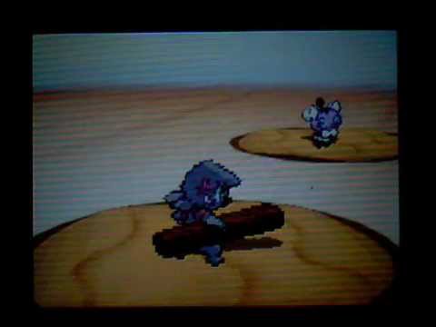 Pokémon Black 2 Unevolved Playthrough 11 - I can't see!