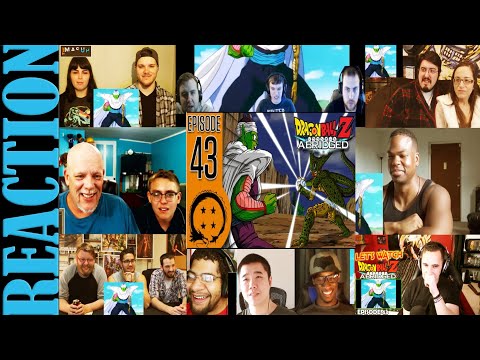 DragonBall Z Abridged: Episode 43 - TeamFourStar (TFS) REACTIONS MASHUP