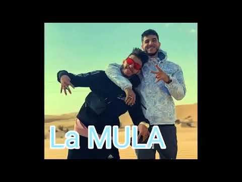 ZEN DAKH FT DADY la mula