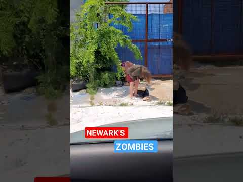 NEWARK NJ,  ZOMBIES SUNNY 🌞  FRIDAY