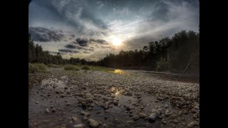 Van Morrison Daring night II