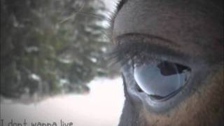 I don&#39;t wanna live this life without you! [Phönix.]