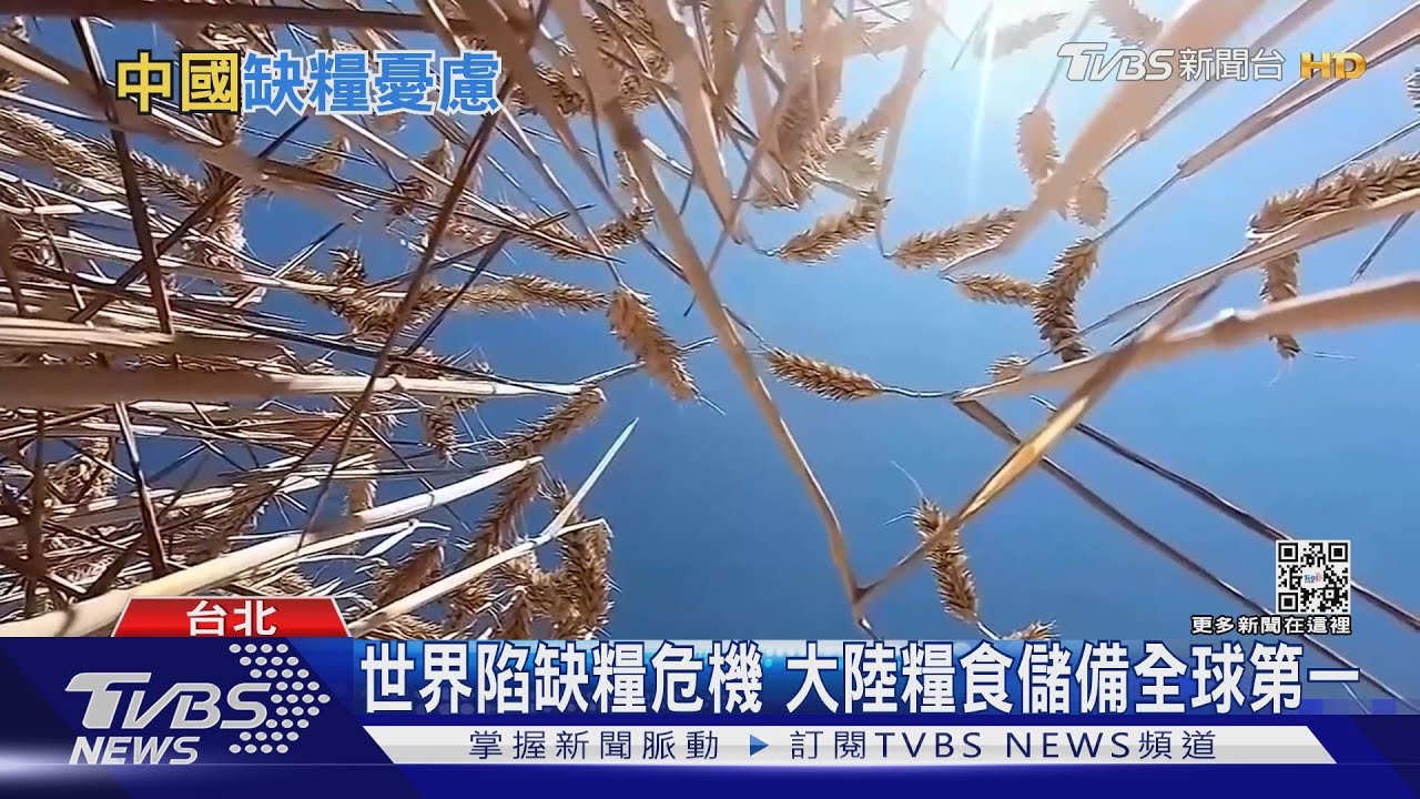 大陸為國安囤糧！　搜刮全球一半糧食