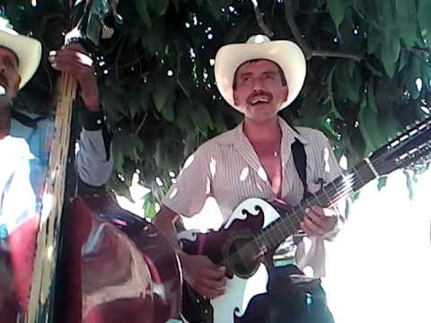 Músicos de cosala. Fijate