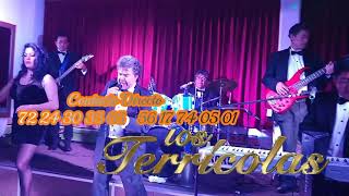 LOS TERRÍCOLAS OFICIAL "CENIZAS" EN VIVO