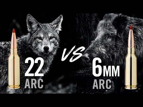 22 ARC vs 6mm ARC: Ballistics, Cost, Barrel Life & More