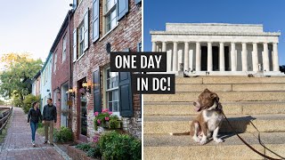One Day in Washington DC (Georgetown, National Mall Monuments, & trying Half-Smokes!)