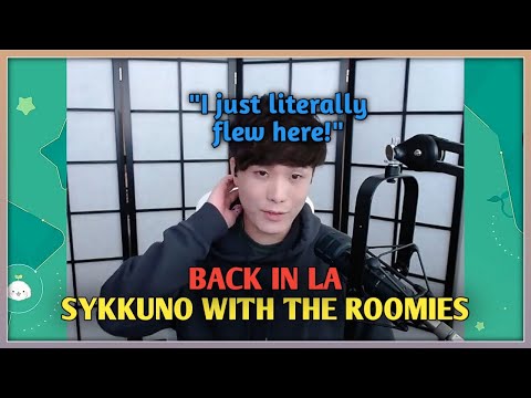 Lil Cat Still Remembered Her REAL OWNER || Sykkuno is Back in LA