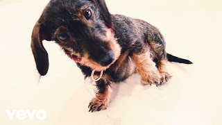 The School - My Arms, They Feel Like Nothing