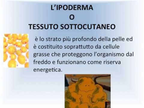 Tumore del giunto piedi Dolore alla schiena dopo una lunga seduta davanti al computer