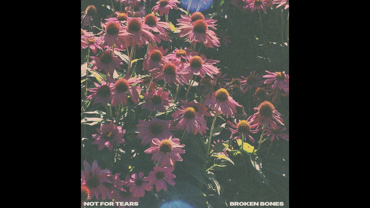 Not For Tears - broken bones