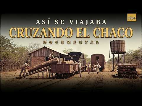 El Ramal C12 de Metán a Avia Terai: 497 Kilómetros de Vía a Través del Monte