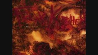 Freak Kitchen - The Rights To You