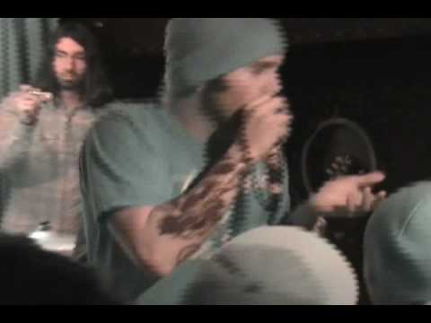 VERSE - The New Fury