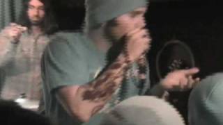 VERSE - The New Fury