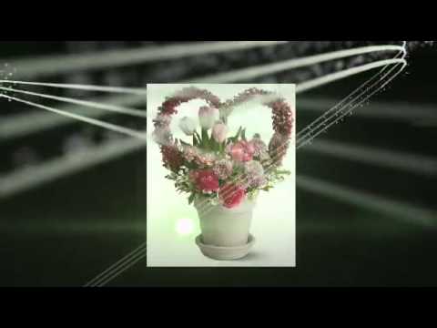 Bức thư tình thứ năm - Tấn Minh