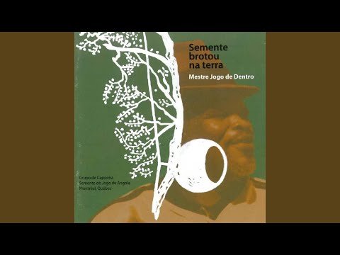 Semente Brotou Na Terra