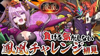 強くなりすぎた木属性パーティで今更ですが鳳凰チャレンジ！【パズドラ】