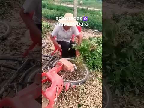 Ferramentas que Você Nunca Imaginou no Cultivo de Amendoim #plantas #agricultura #plantar #agro