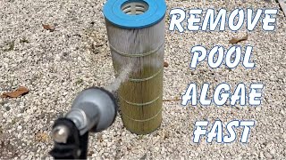 How to get rid of algae in your pool