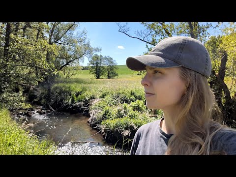 Schaffe ich es, dem Fluss des Lebens vertrauen? | #53 Vom Weg