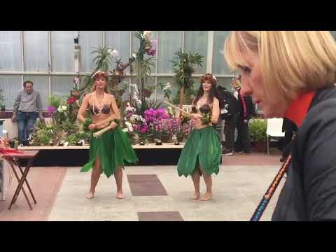 Ori Tahiti Berlin Orchideenshow at Botanischer Garten Berlin 2022 - Hilo March