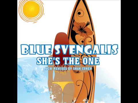 Blue Svengalis - Start Again [2013 Shak Cohen Remix]