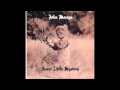 John Martyn -Sweet little mystery