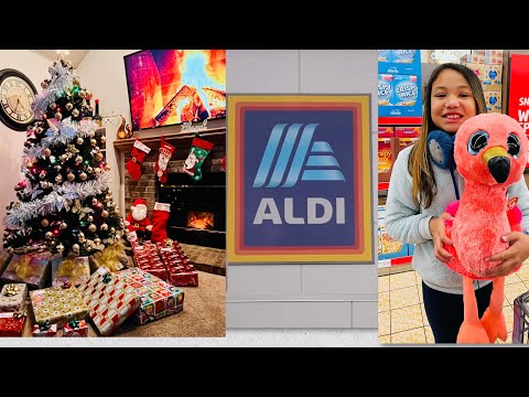 ALDI Grocery Shopping - Our Christmas Tree 🎄