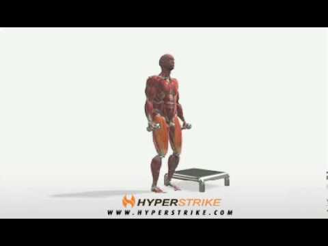 Exercise Videos- Dumbbell Lateral Step Up