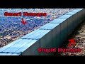 In 2050 Walls Separate Smart Stupid Humans Leaving The Stupid To Suffer