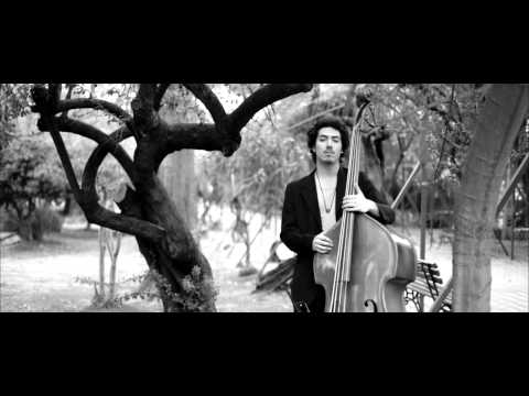 Ana Tijoux - NO AL TPP