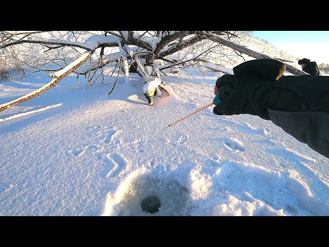 Фото СМЕНИЛ СНАСТЬ и СРАЗУ ЗАГНУЛО КИВОК! Балансир, блесна и безмотылка - ловля окуня зимой! Рыбалка 2021