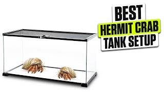 3 BEST Hermit Crab Tank Setup